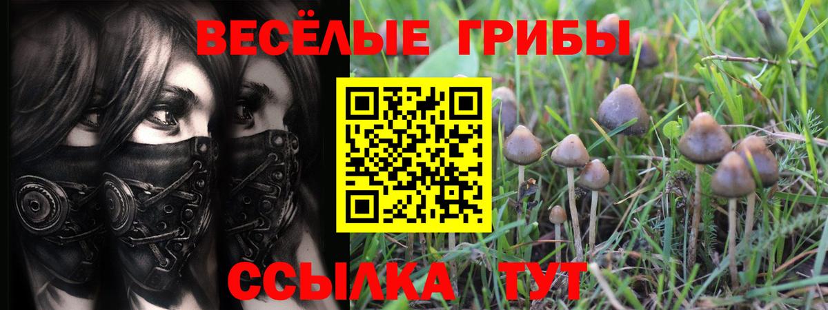 Галлюциногенные грибы ЛСД Мирный
